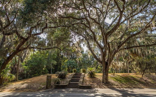 Park «Philippe Park», reviews and photos, 2525 Philippe Pkwy, Safety Harbor, FL 34695, USA