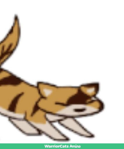 inspect trolleada