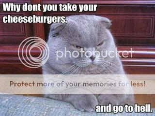 cheezburger Pictures, Images and Photos