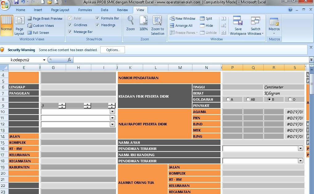 Cara membuat aplikasi excel berbasis web