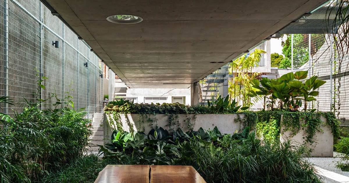 modern-jungle-house-plans
