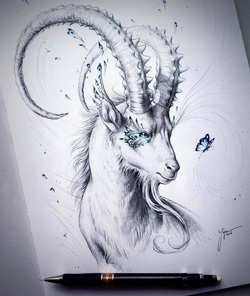 Animal drawing by Jojoes Animal drawing by Jojoes