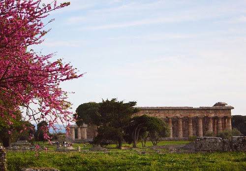 Paestum Magna Graecia