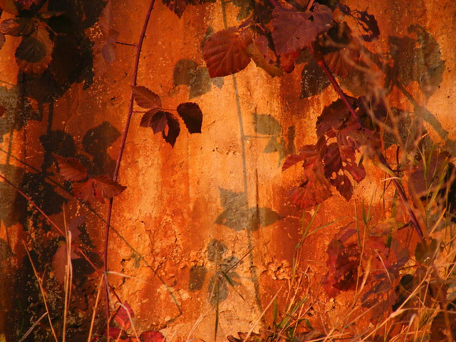 2010.10.30. 112