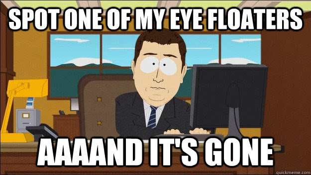 Image result for floaters in eye funny
