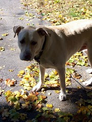 Zeus_102008