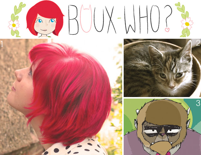 Sponsor Post BouxWho 650x500