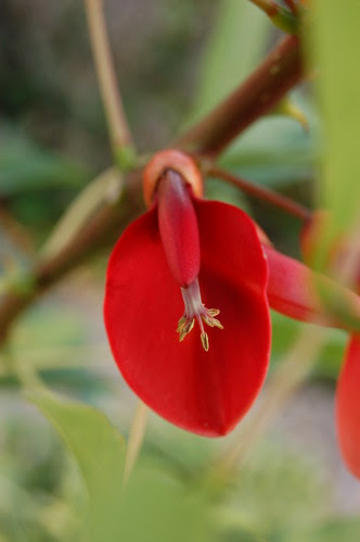 jardim 5120