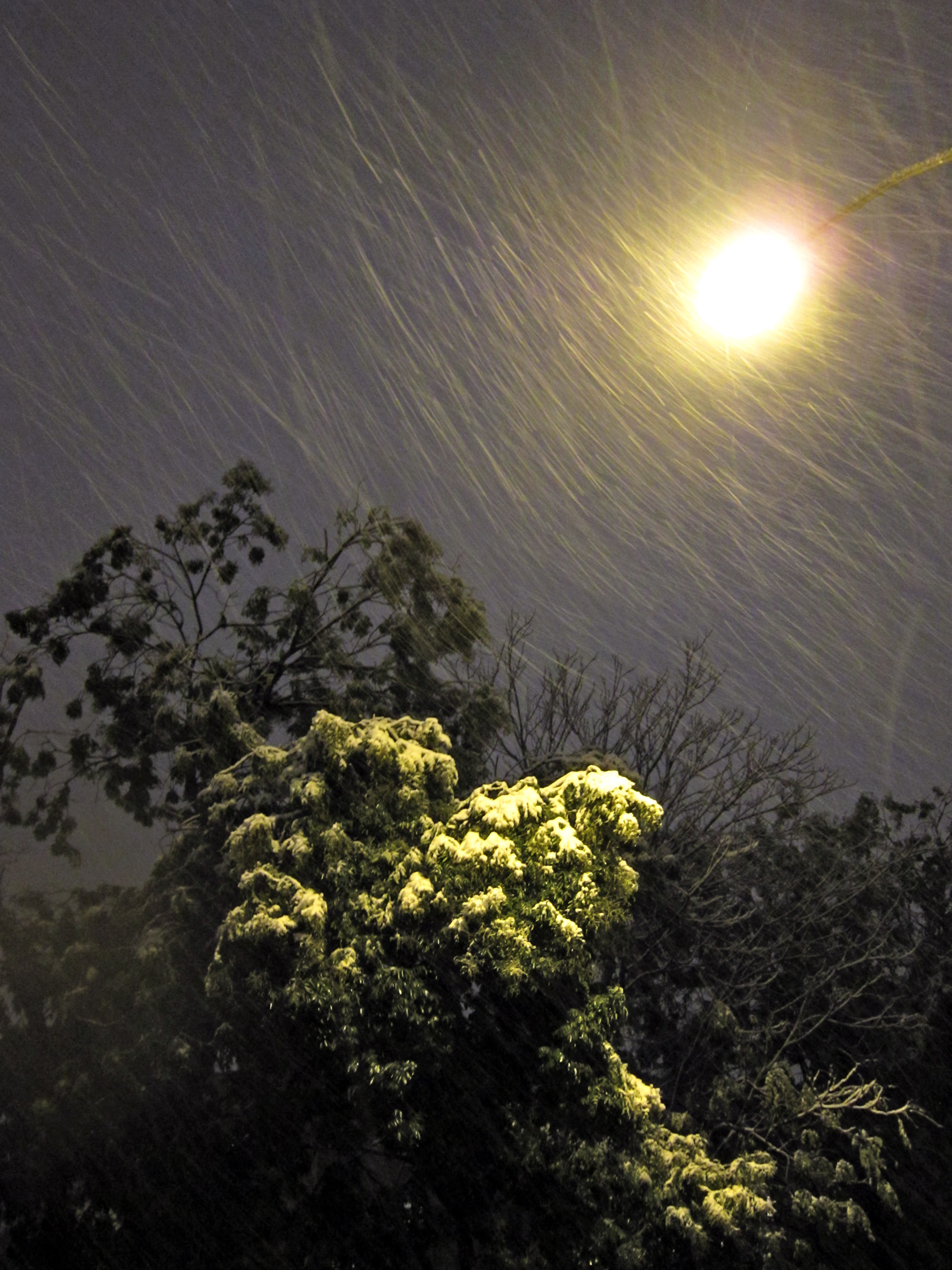 Nor'easter Athena