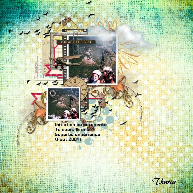 2017 0305 Thuria - CSI case file (crop)