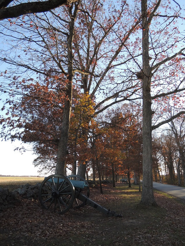 20141118_005