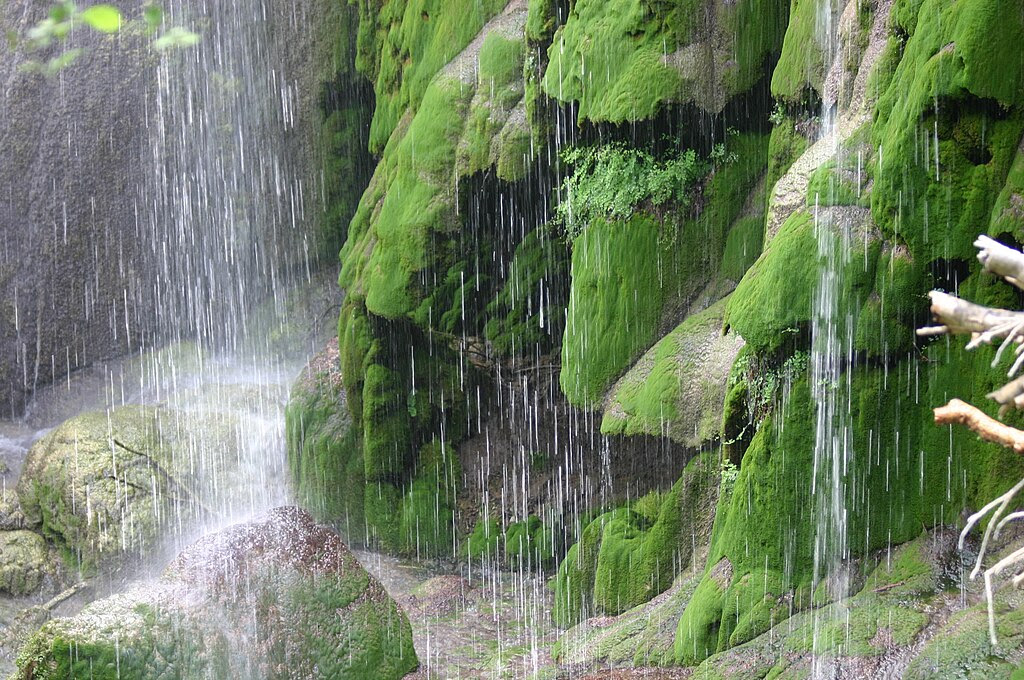 http://upload.wikimedia.org/wikipedia/commons/thumb/b/bc/Base_of_Gorman_Fall_like_Raining.jpg/1024px-Base_of_Gorman_Fall_like_Raining.jpg