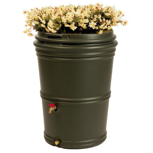 Rain Barrels EarthMinded RSS003BS Rain Station, Dark Moss, 60 Gallon
