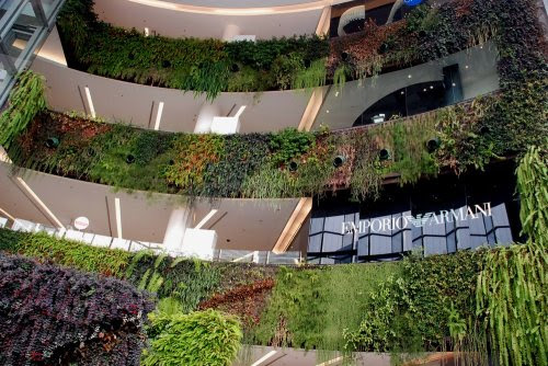 Paragon Center Πράσινοι τοίχοι στο εμπορικό κέντρο Paragon της Μπανγκόκ