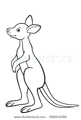 Kangaroo Rat Coloring Page - 264+ Best Quality File