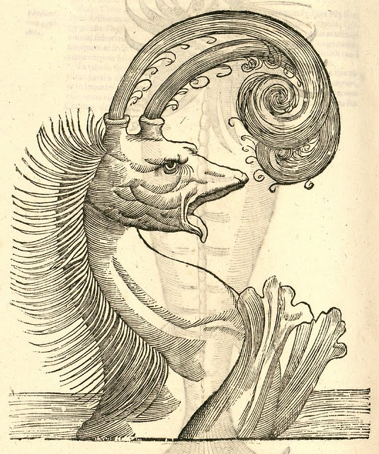 16th century woodcut of monster by Aldronvandi