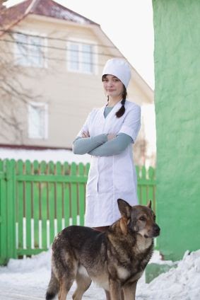 Veterinary Assistant Job Description And Salary / Pros And Cons Of