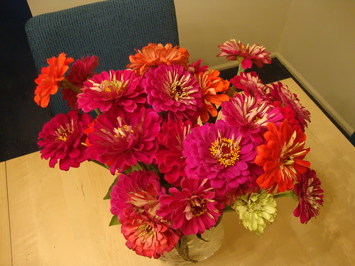 Princeton Farmer's Market Flowers