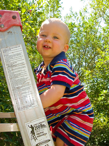 JPR_20080620_0427