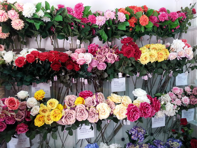 Festamania Presentes Ltda. - Floricultura