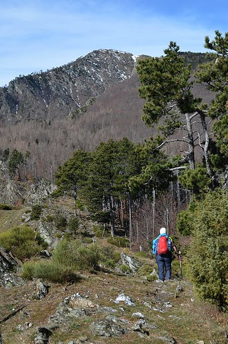 Paths of Aigoual