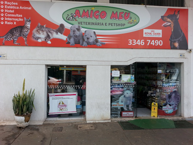 Amigo Meu Veterinária - Brasília