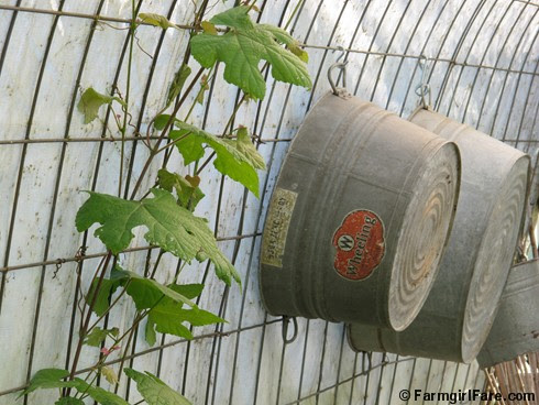 5-18-12 Friday Farm Fix #11 (1)