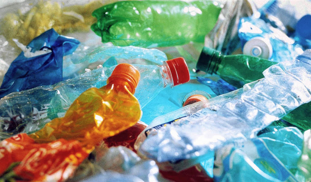 Plastik sogar im Blut Literatur Badische Zeitung Plastik sogar im Blut Literatur Badische Zeitung