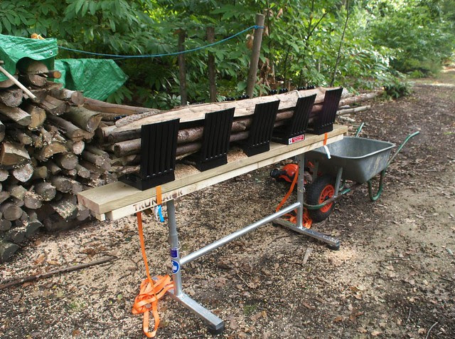 DSC_7191 Truncator logging saw bench