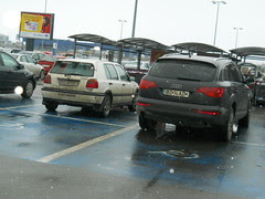 Picture 2272