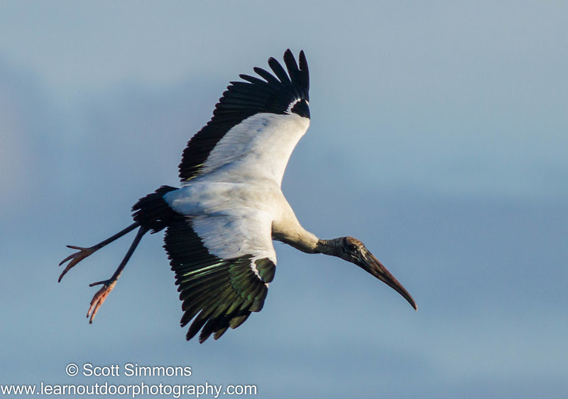 Photo & Video Sharing by SmugMug Photo & Video Sharing by SmugMug