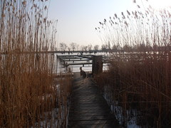 P1010374