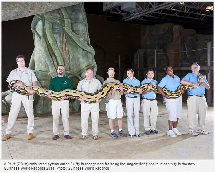 Guinness World Records 2011 (10 pics) Guinness World Records 2011 (10 pics)
