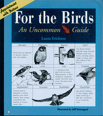 For the Birds: An Uncommon Guide