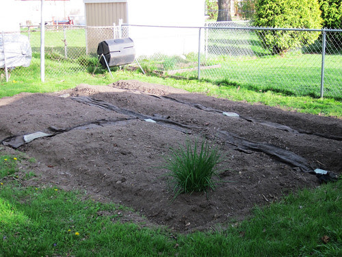the garden 2010