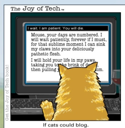 cat_blog1