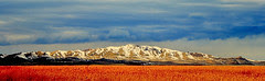 Farmington Bay