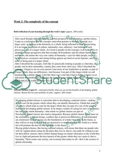 reflective paper example global perspectives