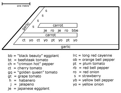 2010 Vegetable Garden - Plot L