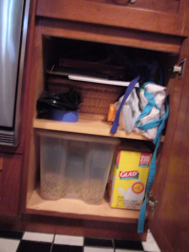 big bin o food