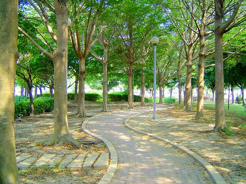 台糖購物中心後公園/無限台南