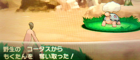 ラブリーポケモン Xy 進化の石の入手方法 ディズニー画像のすべて