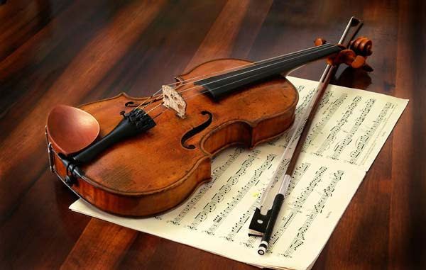 perierga.gr - Μύκητες "μεταμορφώνουν" τα απλά βιολιά σε Stradivarius!