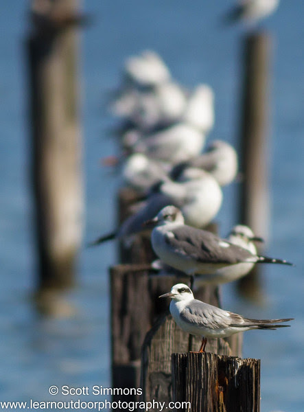 Photo & Video Sharing by SmugMug Photo & Video Sharing by SmugMug