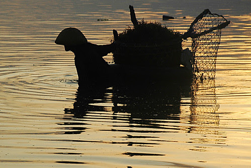 seaweed farming at Jungutbatu, Lembongan Island