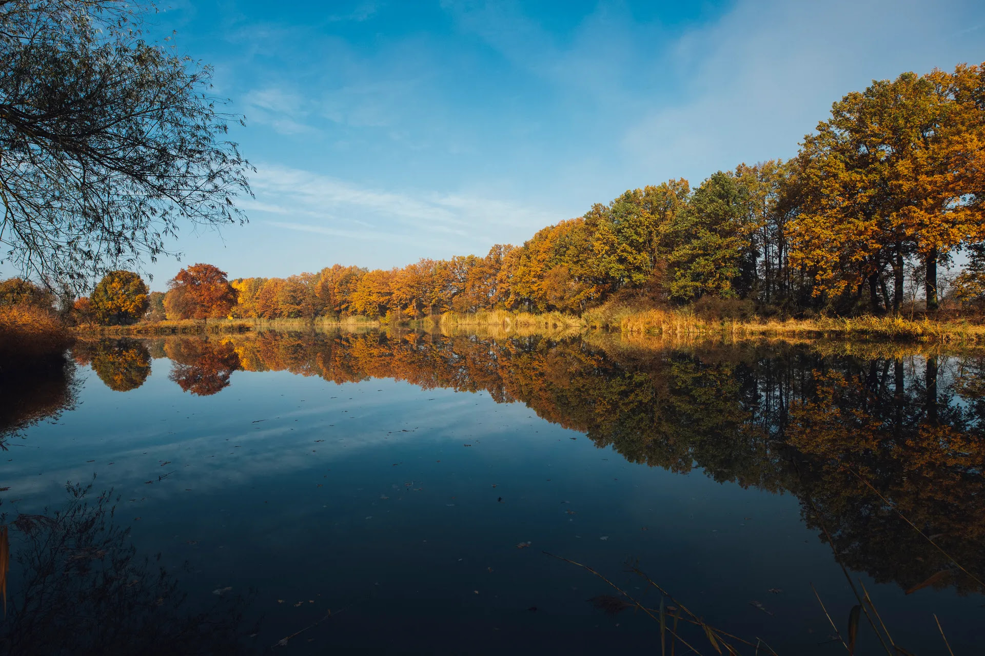 Resultado de imagem para Fall-Season