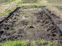 Root bed with drainage channels