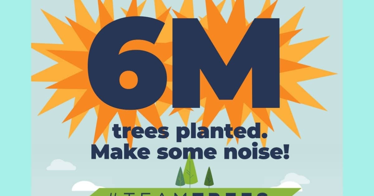 mrbeast teamtrees