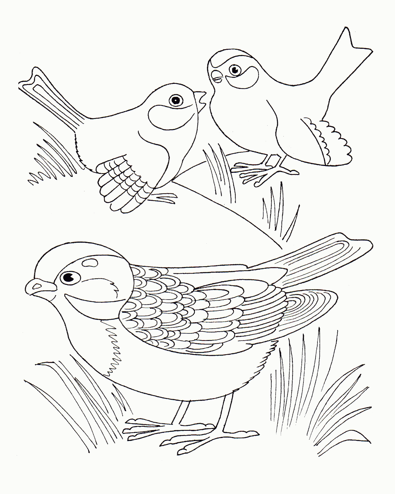 905 Unicorn Sparrow Coloring Page for Kids