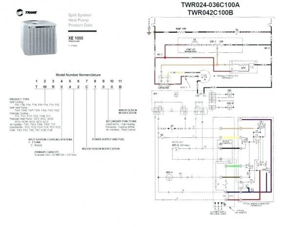 Century Ac Motor Wiring - wiring diagram db